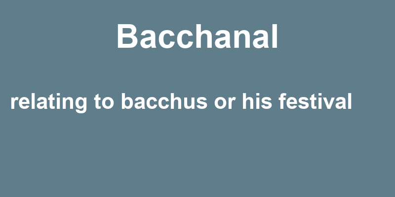 Definition of bacchanal