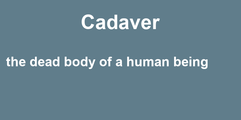 Definition of cadaver