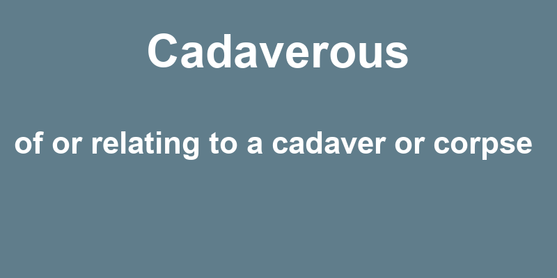 Definition of cadaverous