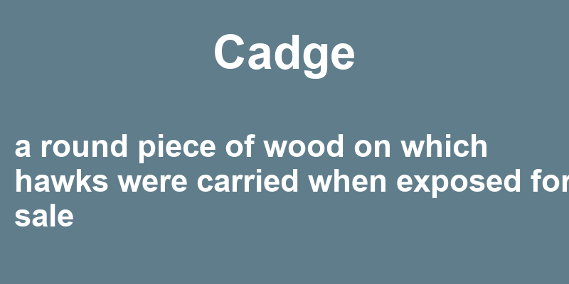 Definition of cadge