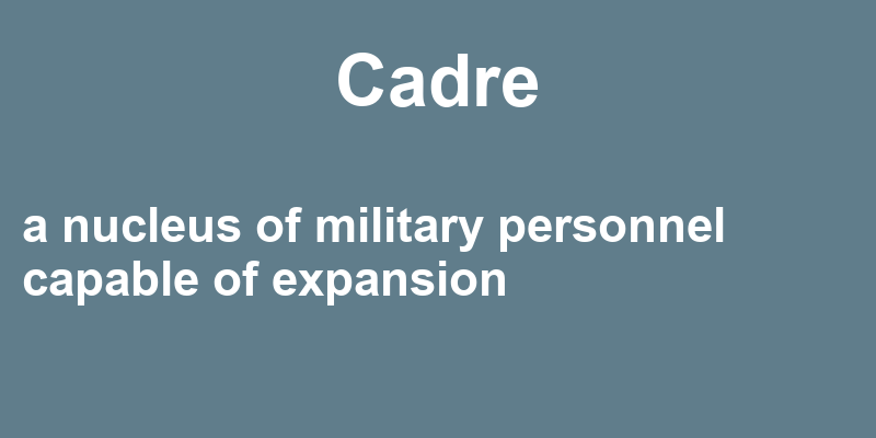 Definition of cadre