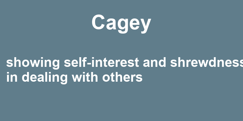 Definition of cagey