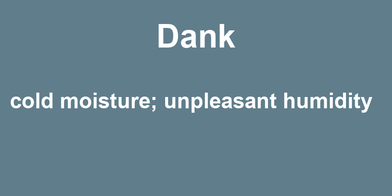 Definition of dank