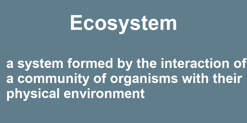 Definition of ecosystem