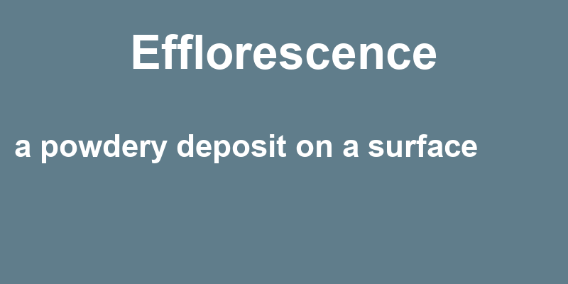 Definition of efflorescence