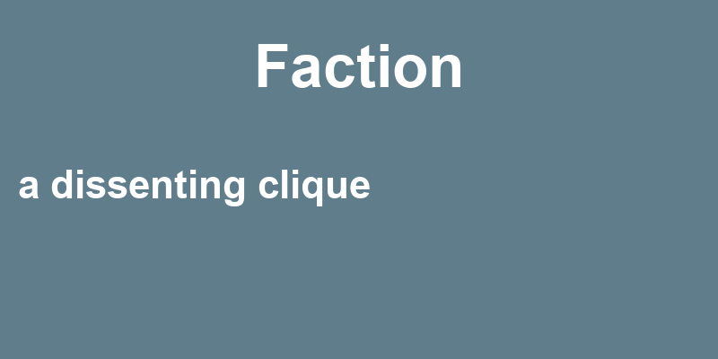 Definition of faction