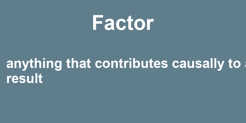 Definition of factor