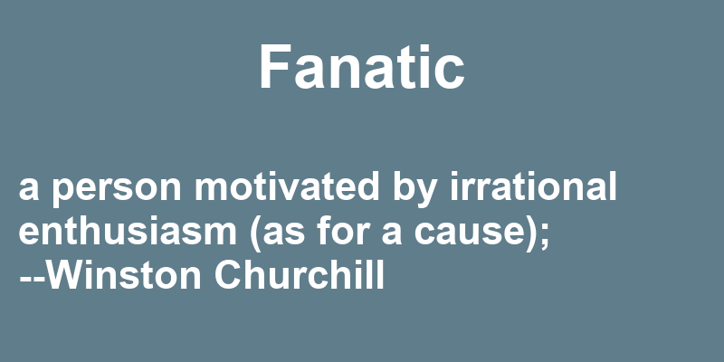 Definition of fanatic