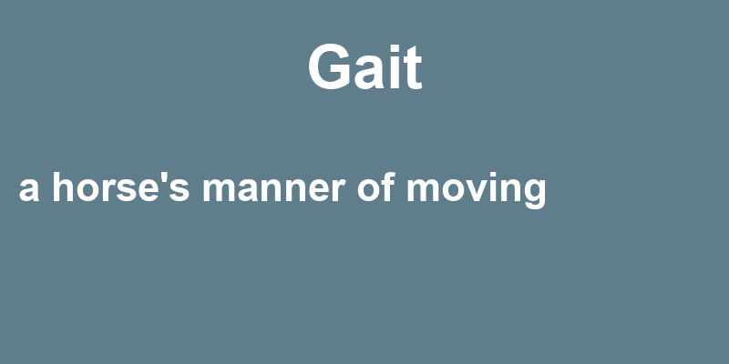 Definition of gait