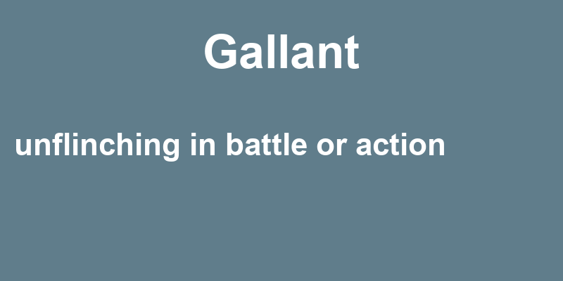 gallant-in-a-sentence-34-real-example-sentences