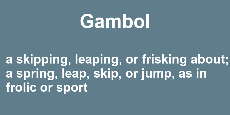 Definition of gambol