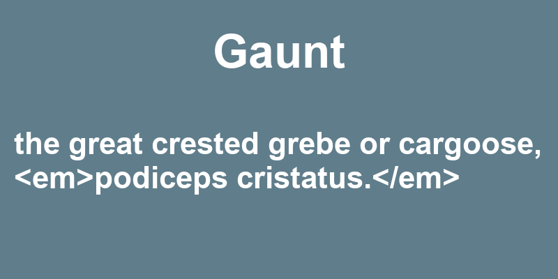 Definition of gaunt