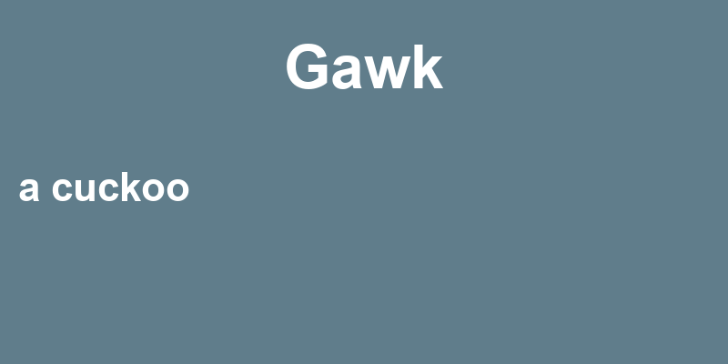 Definition of gawk