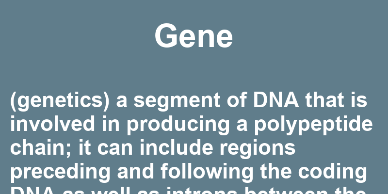 Definition of gene