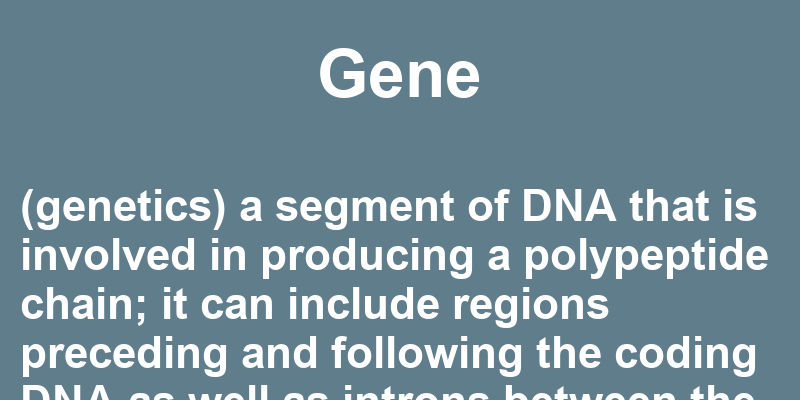 Gene In A Sentence 35 Real Example Sentences