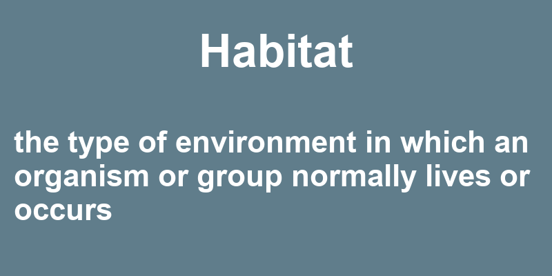 Definition of habitat