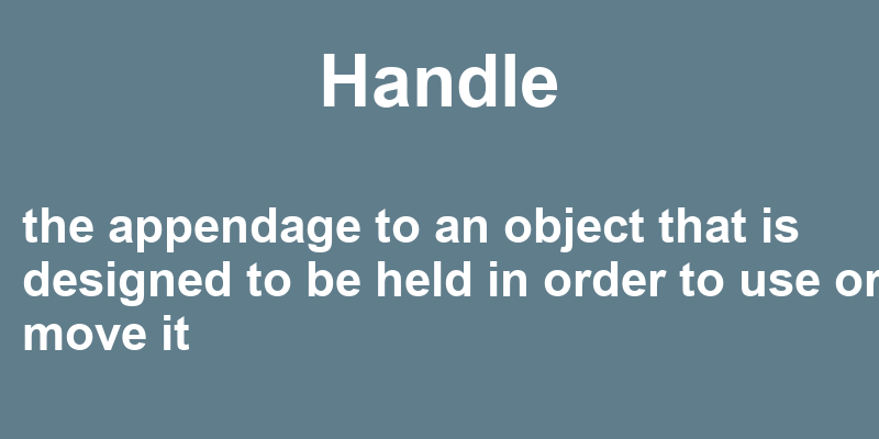 Definition of handle