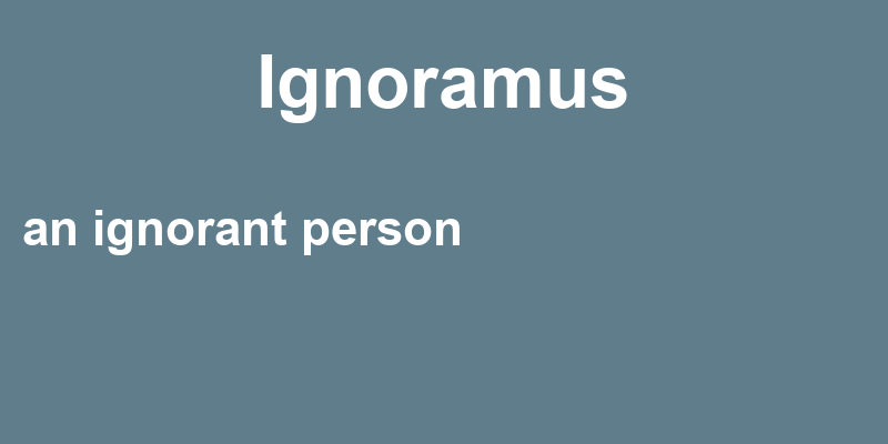 Definition of ignoramus