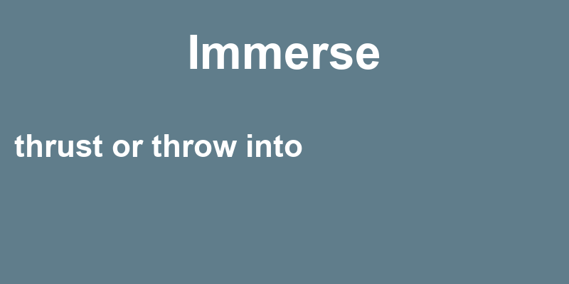 Definition of immerse