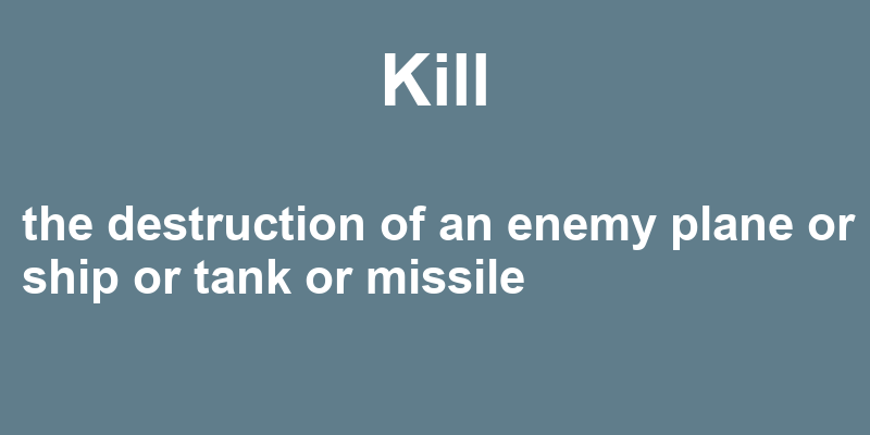 Definition of kill