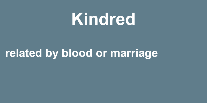 Kindred In A Sentence 40 Real Example Sentences