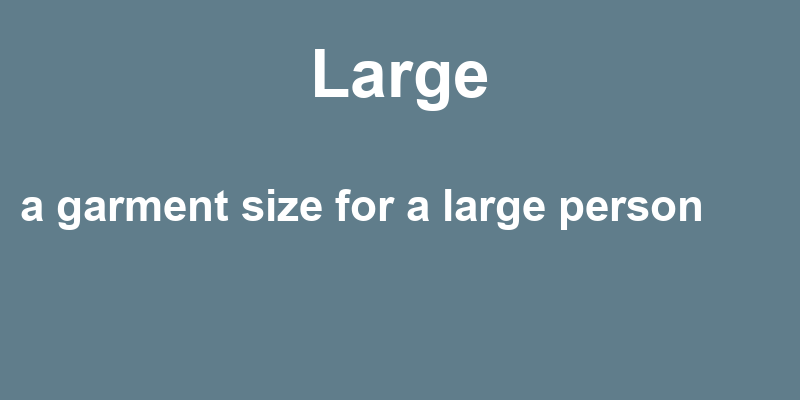 Definition of large