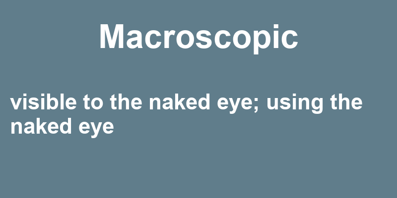 Definition of macroscopic