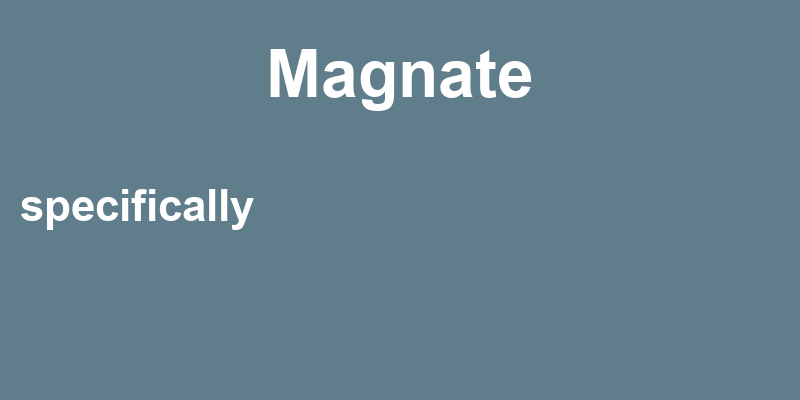 Definition of magnate