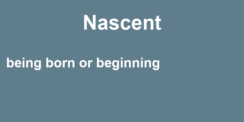 Definition of nascent