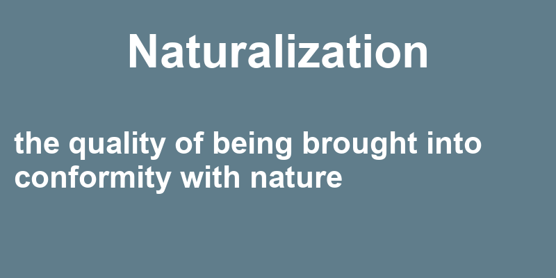 Definition of naturalization