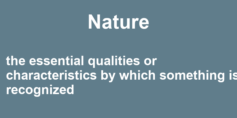 Nature In A Sentence 34 Real Example Sentences