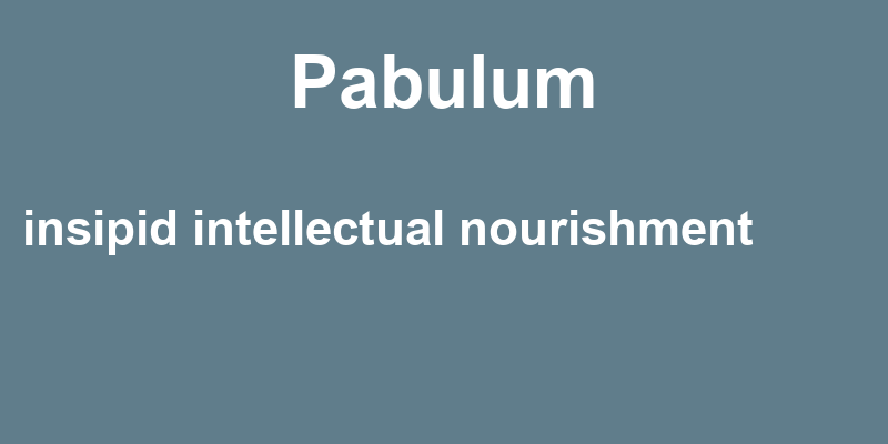 Definition of pabulum