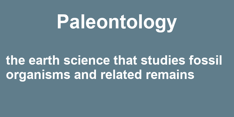 Definition of paleontology
