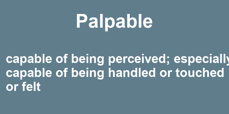 palpable-in-a-sentence-38-real-example-sentences