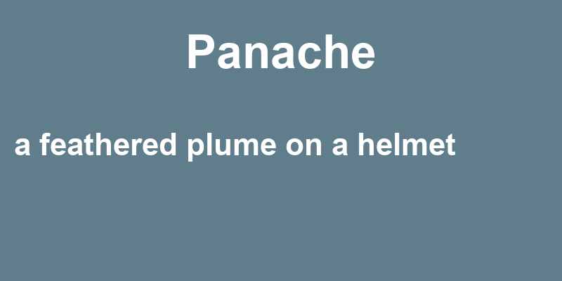 Definition of panache