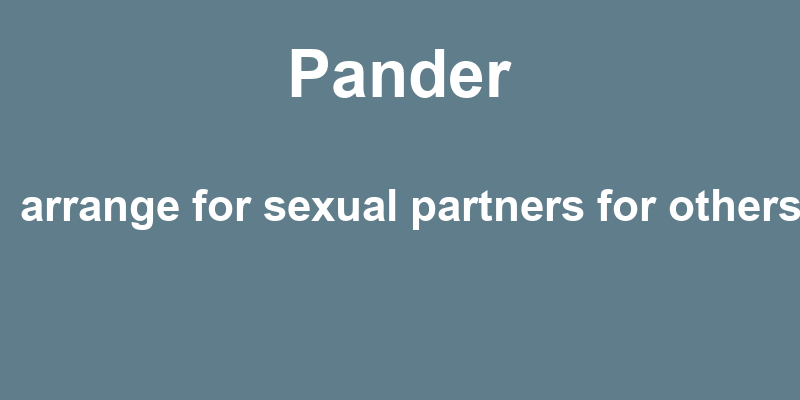 Definition of pander