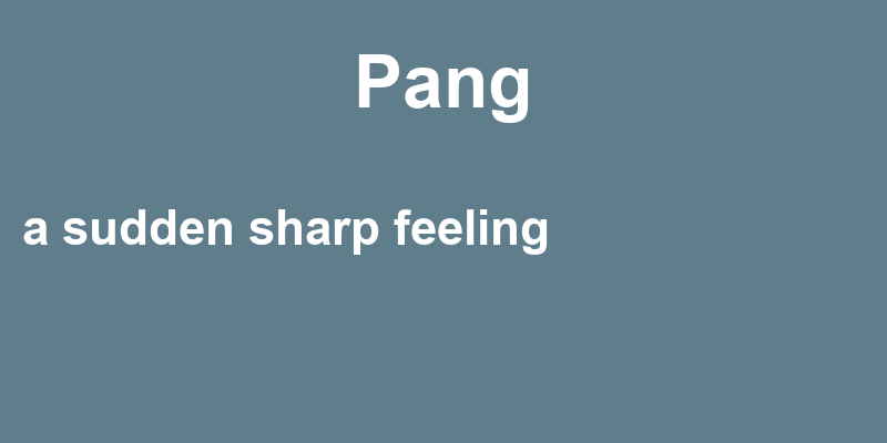 Definition of pang