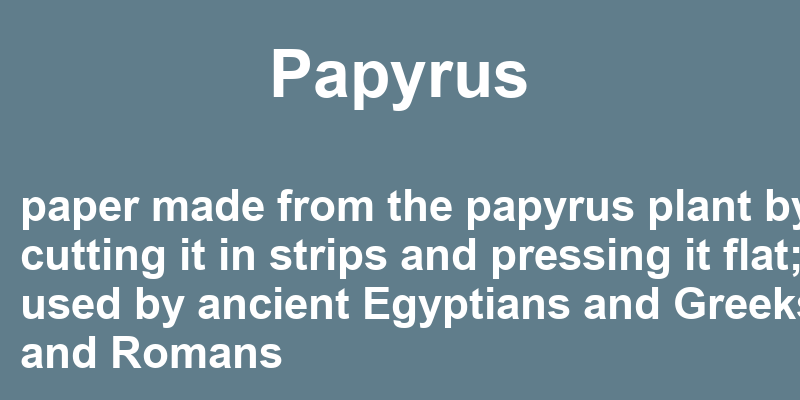 Definition of papyrus
