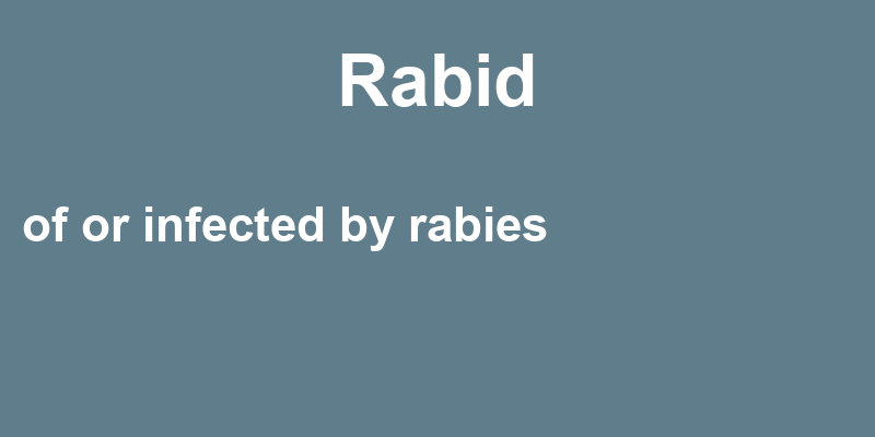 Definition of rabid