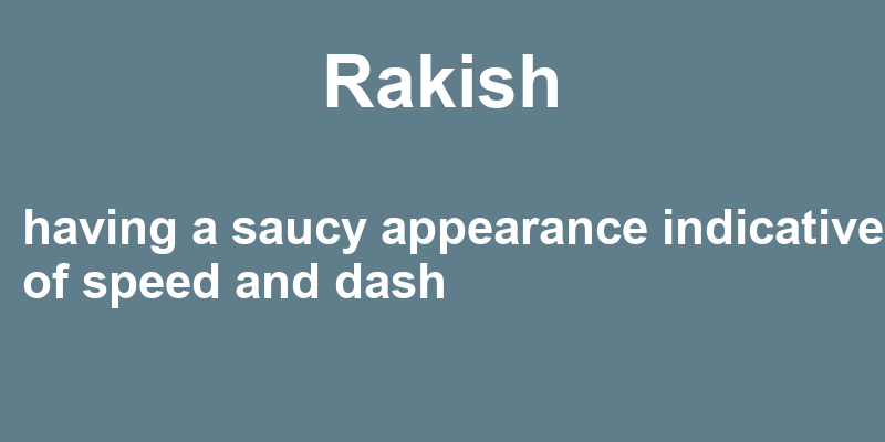 Definition of rakish