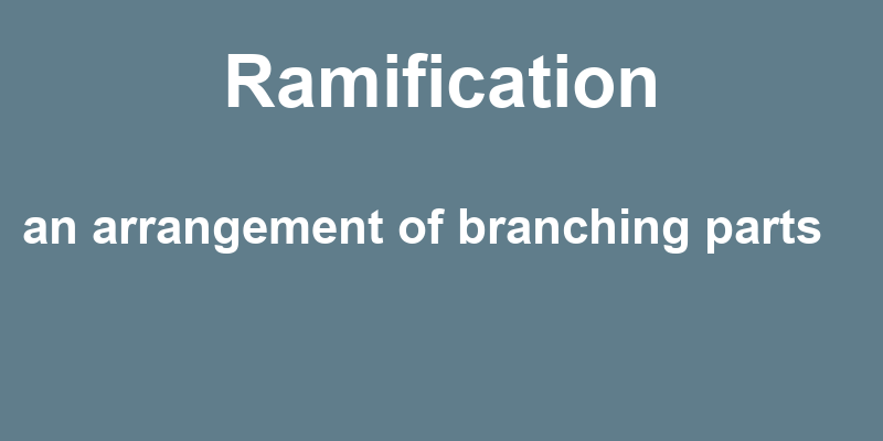 Definition of ramification