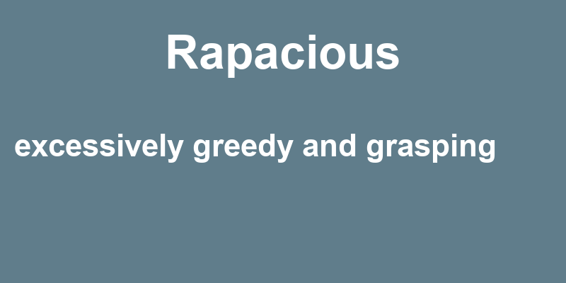 Definition of rapacious