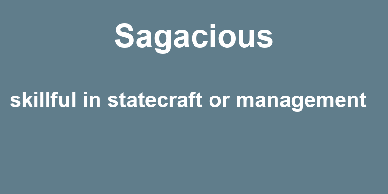 Definition of sagacious