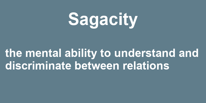 Definition of sagacity
