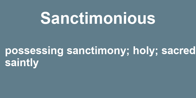 Definition of sanctimonious