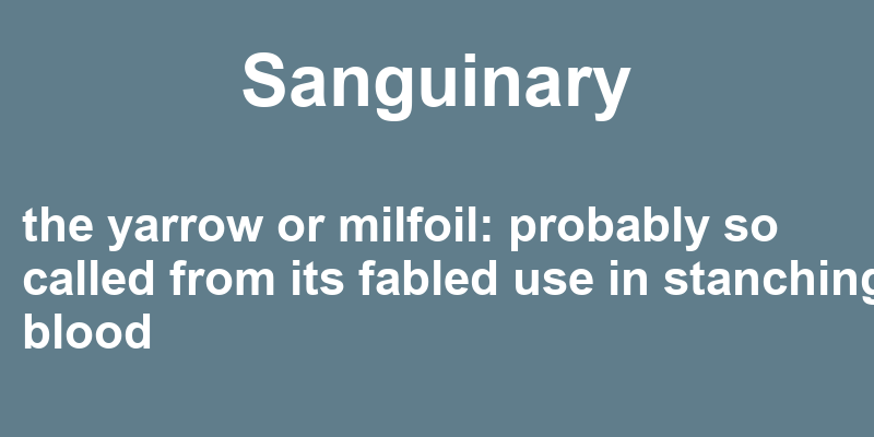 Definition of sanguinary