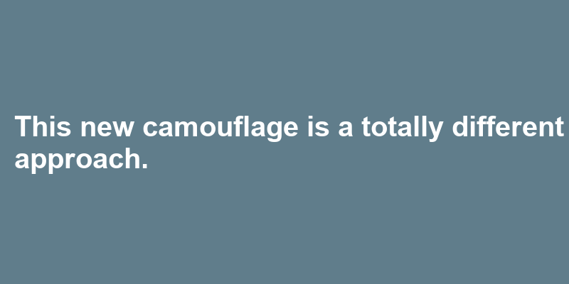 A sentence using camouflage