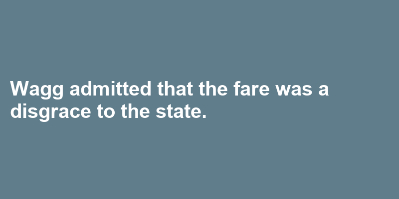 A sentence using fare