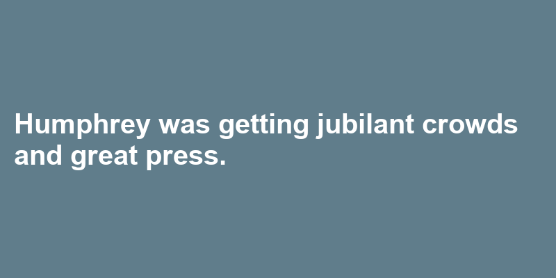 Jubilant In A Sentence 43 Real Example Sentences