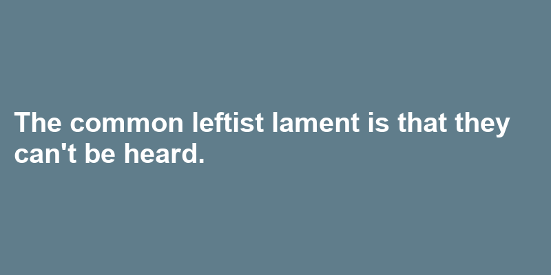 lament-in-a-sentence-34-real-example-sentences